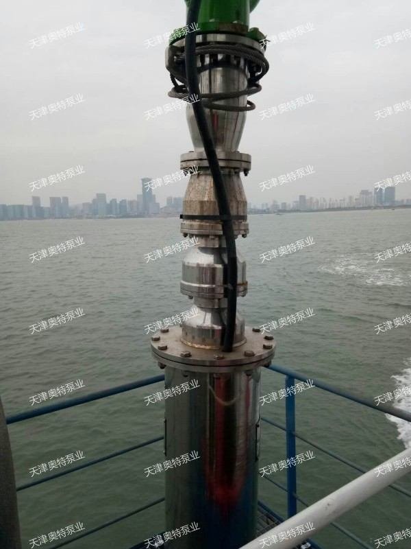 船用/海洋平台耐腐蚀潜水泵