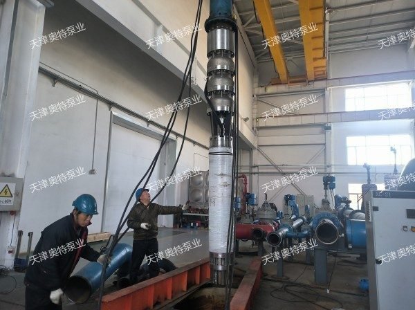 船用/海洋平台耐腐蚀潜水泵